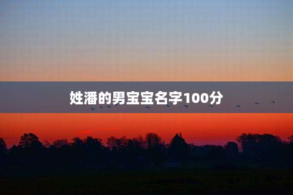 姓潘的男宝宝名字100分