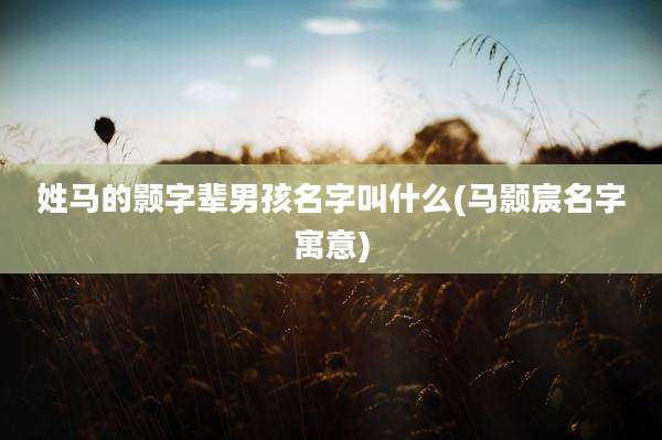 姓马的颢字辈男孩名字叫什么(马颢宸名字寓意)