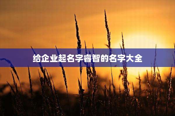 给企业起名字睿智的名字大全