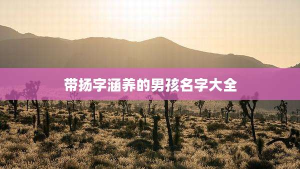 带扬字涵养的男孩名字大全