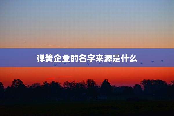 弹簧企业的名字来源是什么