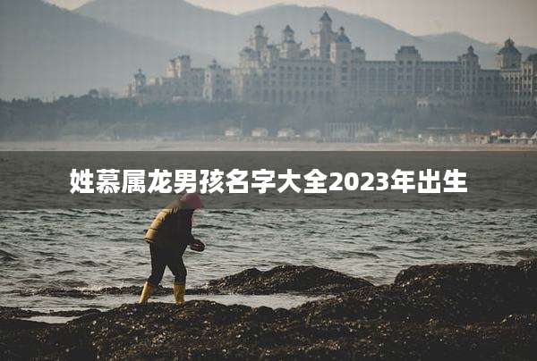 姓慕属龙男孩名字大全2023年出生