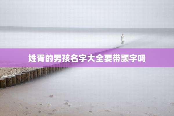 姓胥的男孩名字大全要带颢字吗