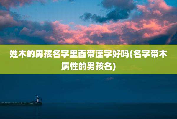 姓木的男孩名字里面带滢字好吗(名字带木属性的男孩名)
