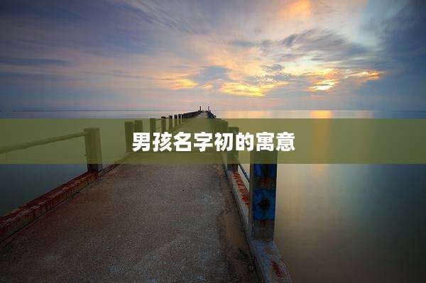 男孩名字初的寓意