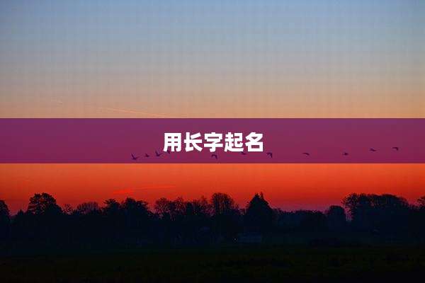 用长字起名