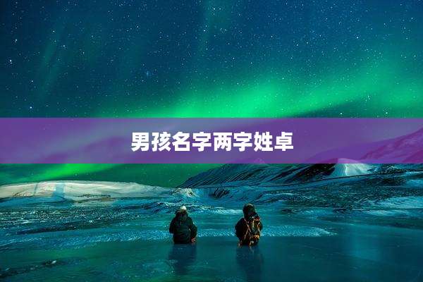 男孩名字两字姓卓
