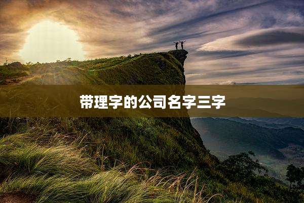 带理字的公司名字三字