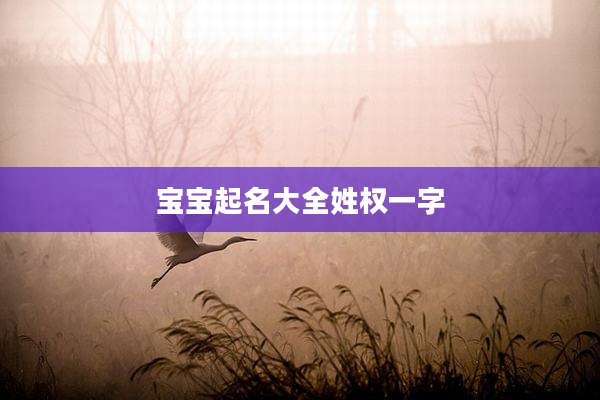 宝宝起名大全姓权一字