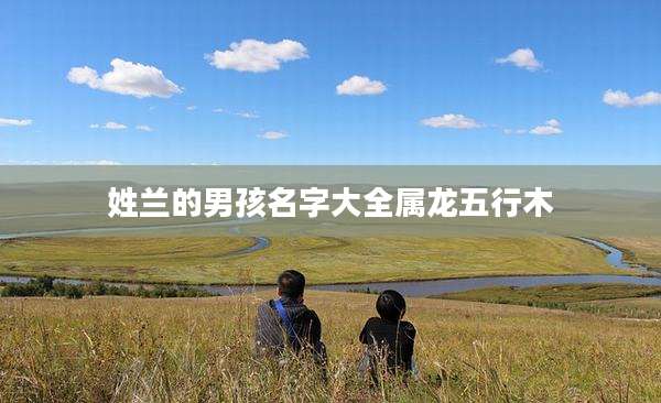 姓兰的男孩名字大全属龙五行木