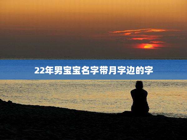 22年男宝宝名字带月字边的字