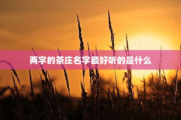 两字的茶庄名字最好听的是什么