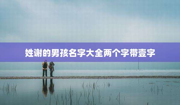 姓谢的男孩名字大全两个字带壹字