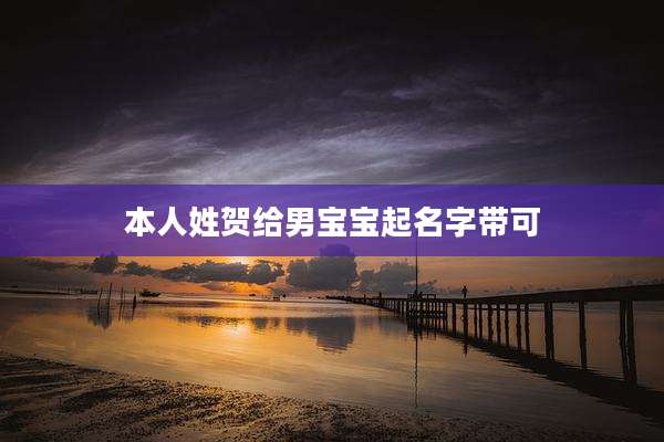 本人姓贺给男宝宝起名字带可