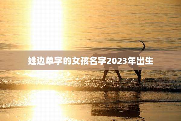 姓边单字的女孩名字2023年出生