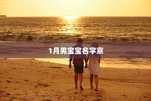 1月男宝宝名字京