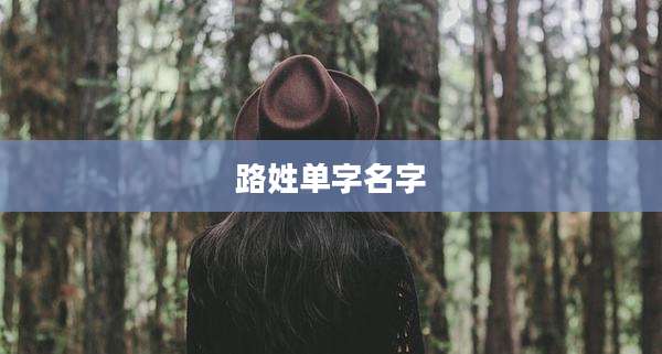 路姓单字名字
