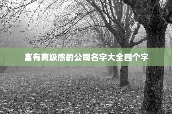 富有高级感的公司名字大全四个字