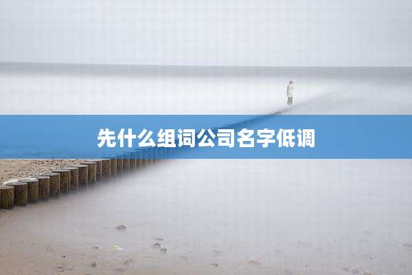 先什么组词公司名字低调