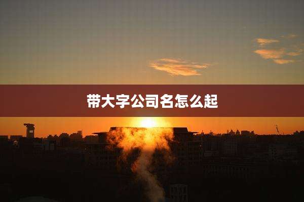 带大字公司名怎么起