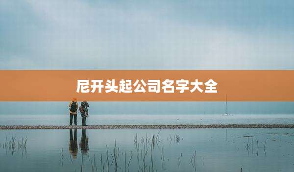 尼开头起公司名字大全