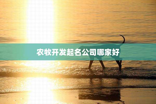 农牧开发起名公司哪家好