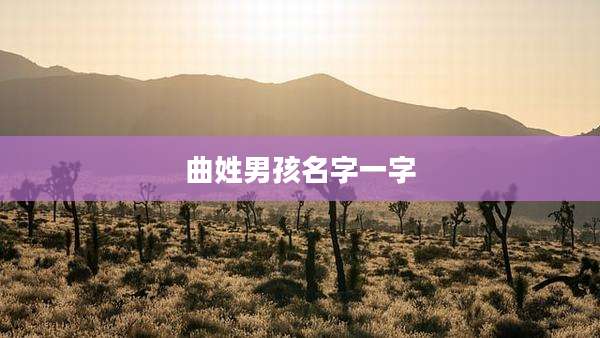 曲姓男孩名字一字