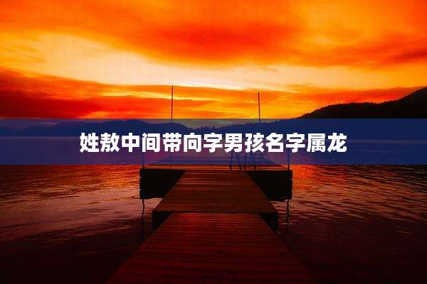 姓敖中间带向字男孩名字属龙