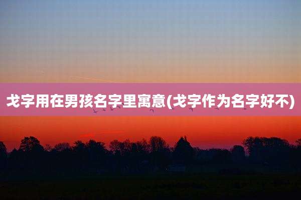 戈字用在男孩名字里寓意(戈字作为名字好不)