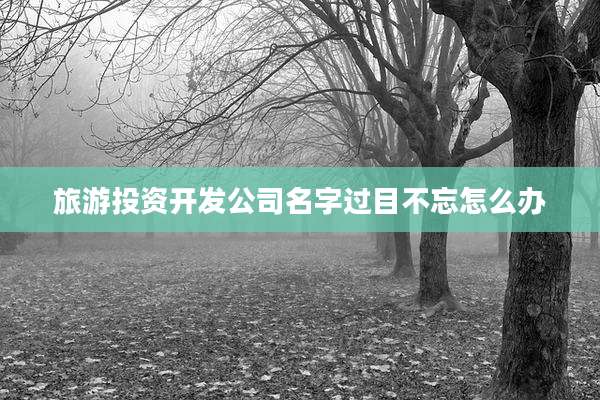 旅游投资开发公司名字过目不忘怎么办