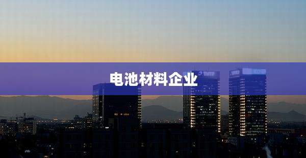 电池材料企业