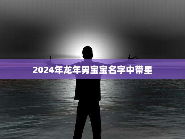 2024年龙年男宝宝名字中带星