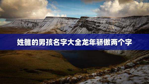 姓雒的男孩名字大全龙年骄傲两个字