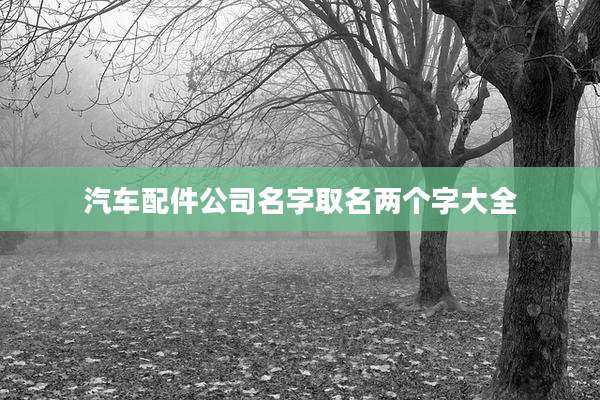 汽车配件公司名字取名两个字大全