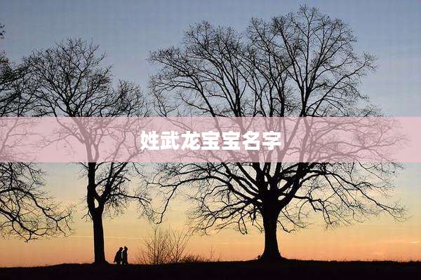 姓武龙宝宝名字