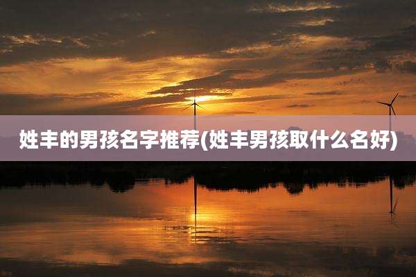 姓丰的男孩名字推荐(姓丰男孩取什么名好)