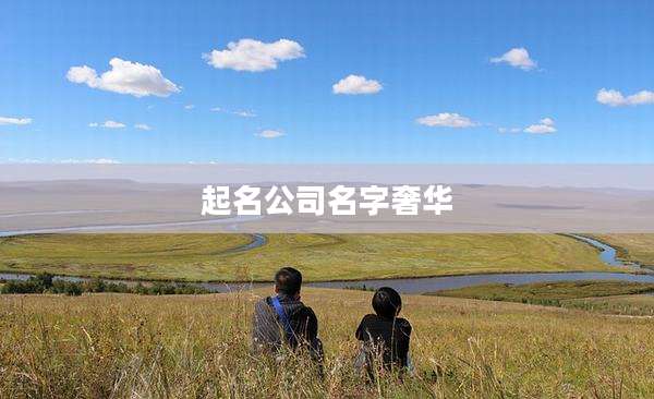 起名公司名字奢华