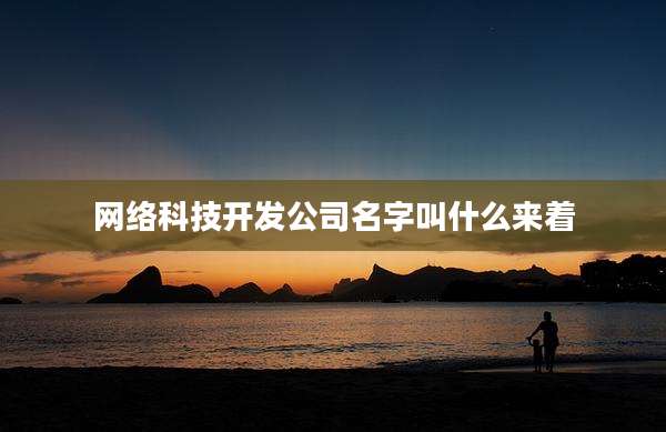 网络科技开发公司名字叫什么来着