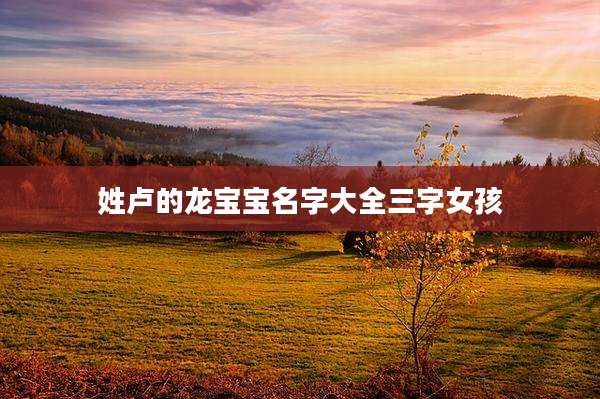 姓卢的龙宝宝名字大全三字女孩
