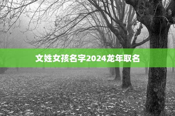文姓女孩名字2024龙年取名