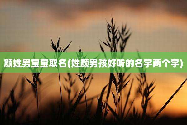 颜姓男宝宝取名(姓颜男孩好听的名字两个字)