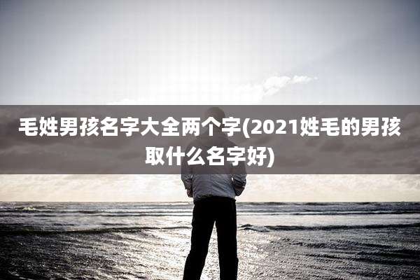 毛姓男孩名字大全两个字(2021姓毛的男孩取什么名字好)