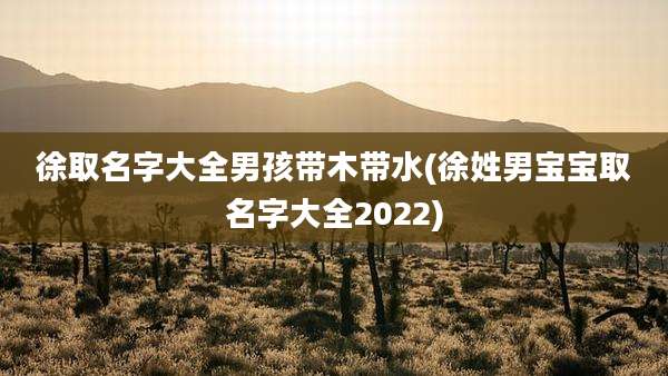 徐取名字大全男孩带木带水(徐姓男宝宝取名字大全2022)