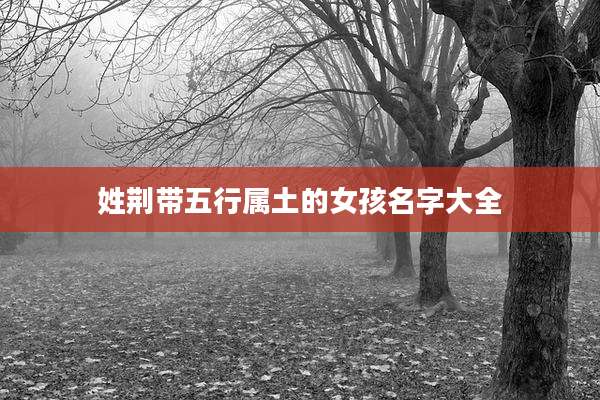 姓荆带五行属土的女孩名字大全