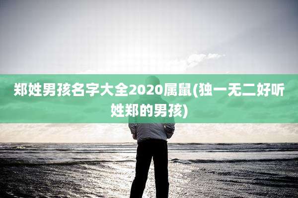 郑姓男孩名字大全2020属鼠(独一无二好听姓郑的男孩)