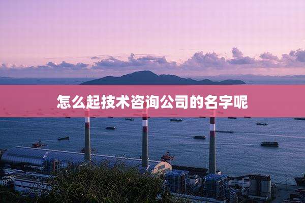 怎么起技术咨询公司的名字呢