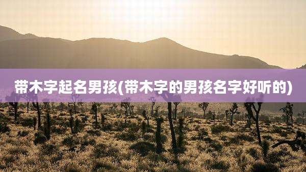 带木字起名男孩(带木字的男孩名字好听的)
