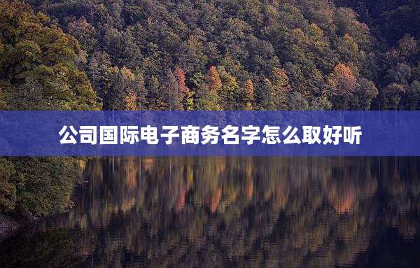 公司国际电子商务名字怎么取好听