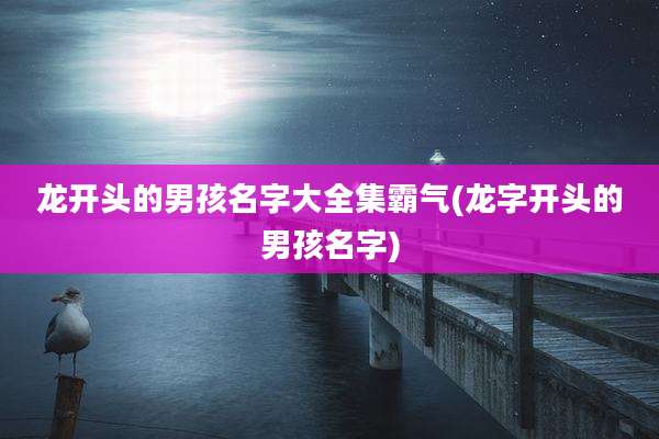龙开头的男孩名字大全集霸气(龙字开头的男孩名字)