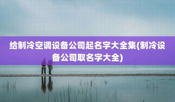 给制冷空调设备公司起名字大全集(制冷设备公司取名字大全)